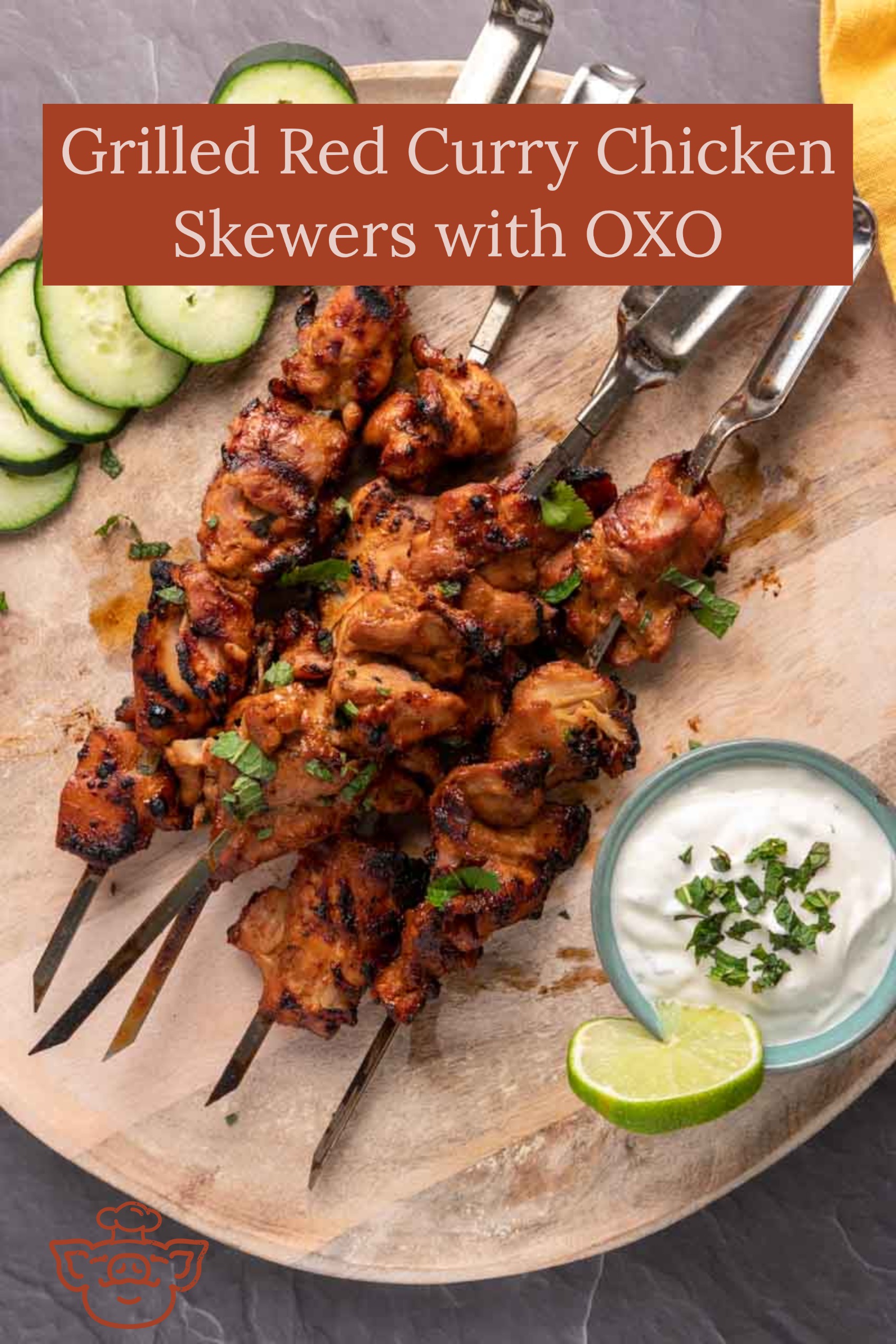 Grilled Red Curry Chicken Skewers with OXO